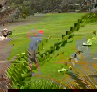 Pambula Merimbula Golf Club - Accommodation Mooloolaba