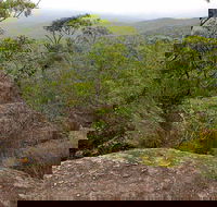 Pigeon House Mountain Didthul Walking Track - Accommodation Mooloolaba