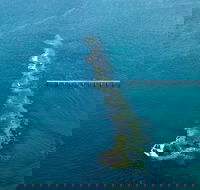 Port Noarlunga Reef Sanctuary Zone - Encounter Marine Park - Accommodation Mooloolaba