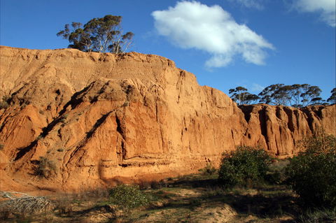 Red Banks Conservation Park - Accommodation Mooloolaba 0