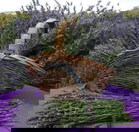 Rustique Lavender Farm - Accommodation Mooloolaba