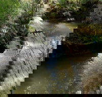 Second Ponds Creek Walk - Accommodation Mooloolaba