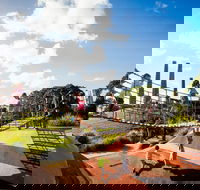 Sydney Park - Accommodation Mooloolaba