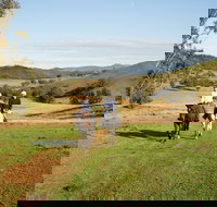 Tamworth and Kootingal Horse Riding Adventures - Accommodation Mooloolaba