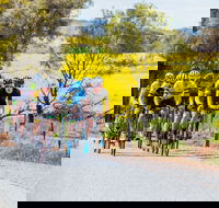 The Heron's Highway - Avon River Cycle Trail - Accommodation Mooloolaba
