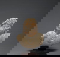 UNE Museum of Antiquities - Accommodation Mooloolaba