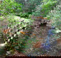 Waitui Falls - Accommodation Mooloolaba