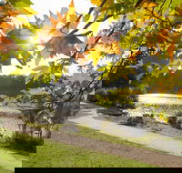 Wentworth Falls Lake - Accommodation Mooloolaba