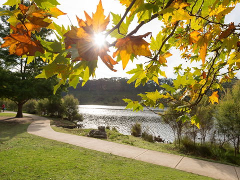Wentworth Falls Lake - Accommodation Mooloolaba 0