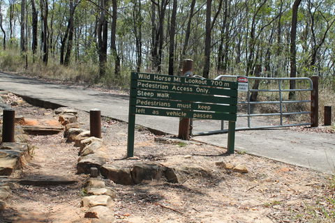 Wild Horse Mountain Lookout - Accommodation Mooloolaba 1