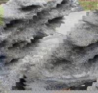 Windara Reef - Accommodation Mooloolaba