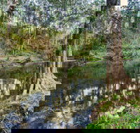 Woko National Park - Accommodation Mooloolaba