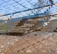 Aboriginal Carvings - Accommodation Mooloolaba