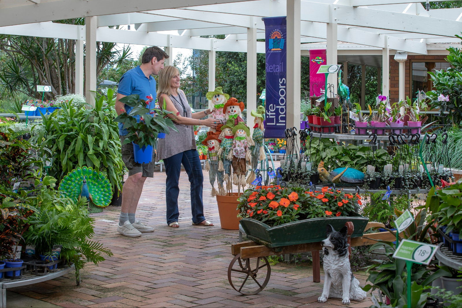 Adare QLD Accommodation Mooloolaba