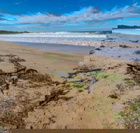 Avenue Beach - Accommodation Mooloolaba