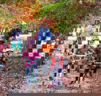 Beechworth to Everton Station 16km - Accommodation Mooloolaba