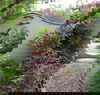 Black Dragon Gardens Wulong Yuan - Accommodation Mooloolaba