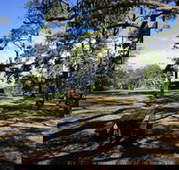 Bowen Mountain Park - Accommodation Mooloolaba