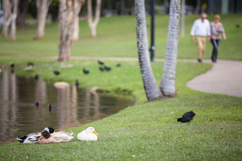 Centenary Lakes Park - Accommodation Mooloolaba 2