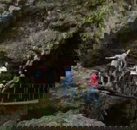 Day trips from Rockhampton - Accommodation Mooloolaba