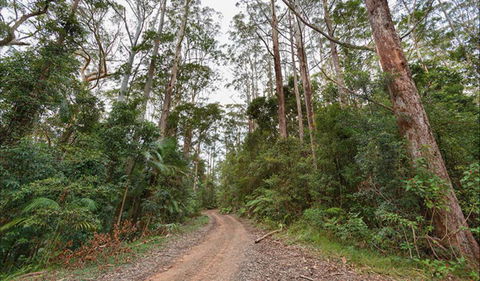 End Peak Walking Track - Accommodation Mooloolaba 0
