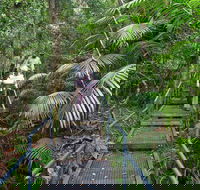 Falls walking track - Accommodation Mooloolaba