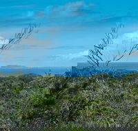 Forest Walking Track Crowdy Bay National Park - Accommodation Mooloolaba