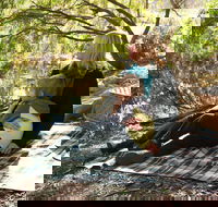 Haig Street Quarry Bushland Reserve Trails - Accommodation Mooloolaba