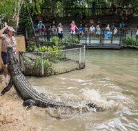 Hartley's Crocodile Adventures - Accommodation Mooloolaba