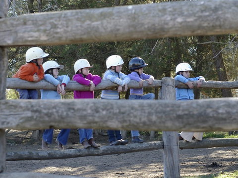 Harlow Park Horse Riding - Accommodation Mooloolaba 0