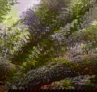 Honeysuckle picnic area - Accommodation Mooloolaba