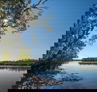 Karuah River National Park and Nature Reserve - Accommodation Mooloolaba