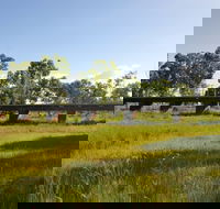 Katherine Railway Trestle Bridge - Accommodation Mooloolaba