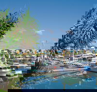 Keppel Bay Fishing Adventure - Accommodation Mooloolaba