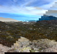 Kosciuszko National Park Charlottes Pass to Snowy River - Accommodation Mooloolaba