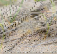 Manning Entrance State Park - Accommodation Mooloolaba