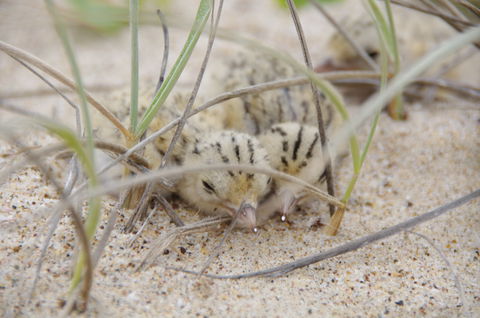 Manning Entrance State Park - Accommodation Mooloolaba 0