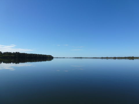 Manning River - Accommodation Mooloolaba 0
