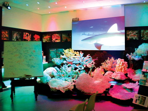 Marine Discovery Centre Hastings Point - Accommodation Mooloolaba 0