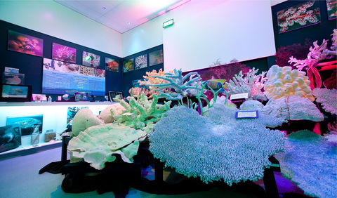 Marine Discovery Centre Hastings Point - Accommodation Mooloolaba 2