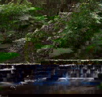 Millards Creek Walk and Cycleway - Accommodation Mooloolaba