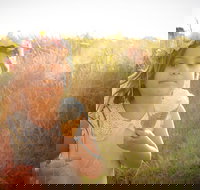 Millers Ice Cream - Accommodation Mooloolaba