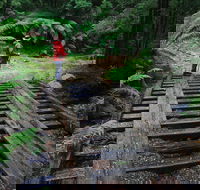 Montezuma Falls - Accommodation Mooloolaba