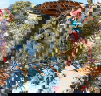 Next Level Monkey Business - Accommodation Mooloolaba