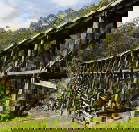 Noojee Trestle Bridge - Accommodation Mooloolaba