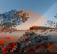 Peery Lake - Accommodation Mooloolaba