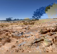 Peery Lake picnic area - Accommodation Mooloolaba