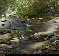 Plateau Circuit Loop Trail - Accommodation Mooloolaba