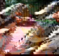 Potoroo Palace Native Animal Sanctuary - Accommodation Mooloolaba