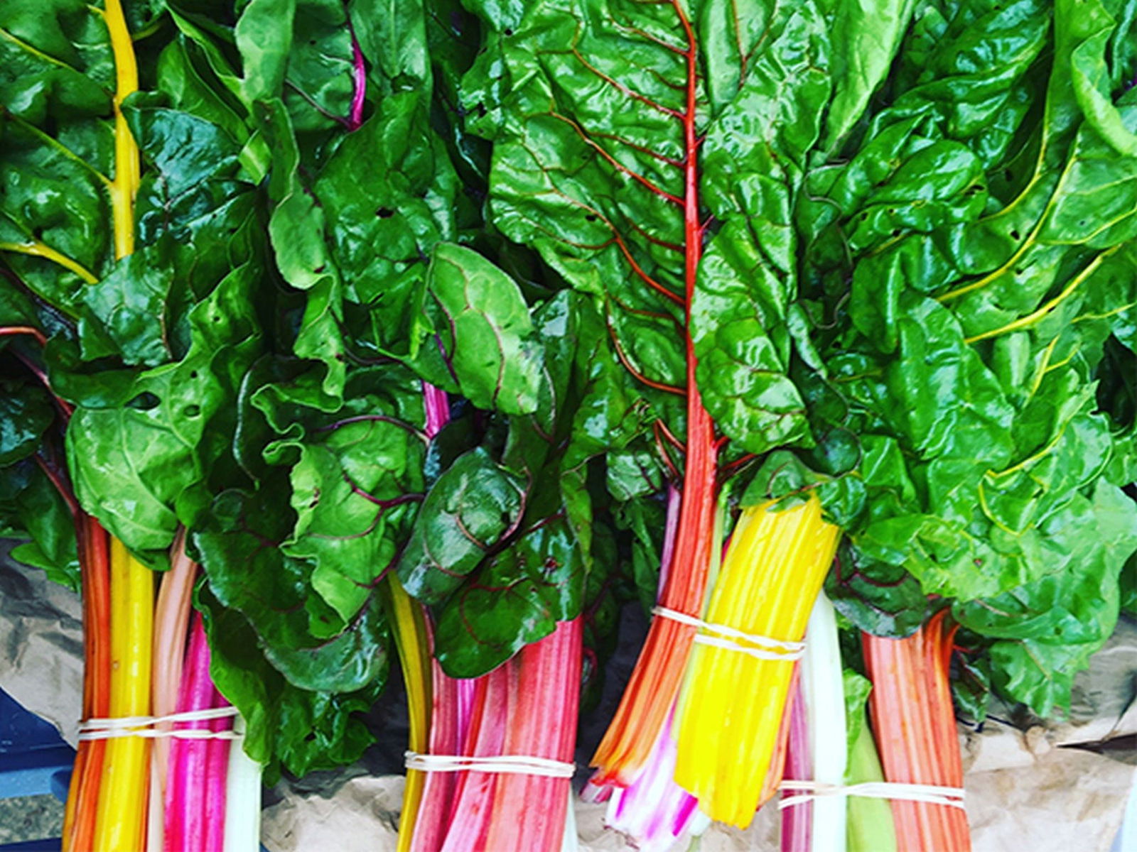 Anambah NSW Accommodation Mooloolaba